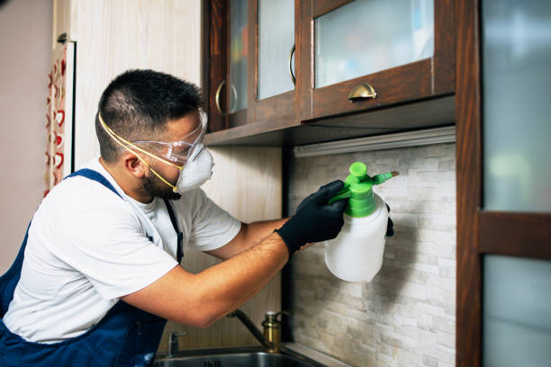 Best Pest Control for Hotels  in Medina, TX